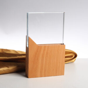 Trophée en cristal Lg